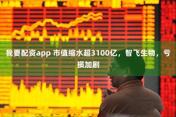 我要配资app 市值缩水超3100亿，智飞生物，亏损加剧