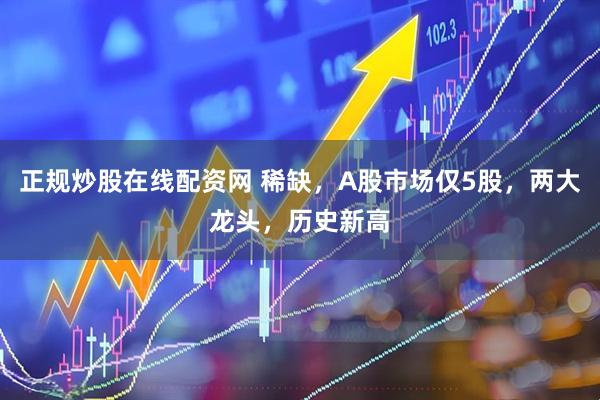 正规炒股在线配资网 稀缺，A股市场仅5股，两大龙头，历史新高